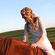 New Forest Kastanjegårdens fromage