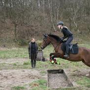 Anden særlig race Skovens maj