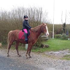 Anden særlig race balou