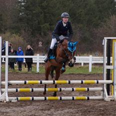 Anden særlig race Pepsi