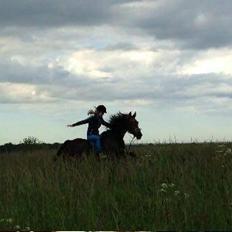 Anden særlig race Cypresgårdens Celina