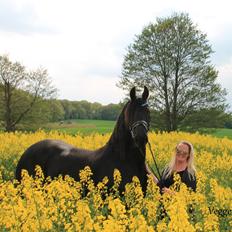 Frieser Jitske Van De Lage Landen