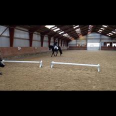 DSP Nørlunds Simone