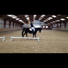 DSP Nørlunds Simone