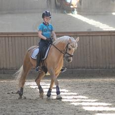 Tysk Sportspony Remember The Time S