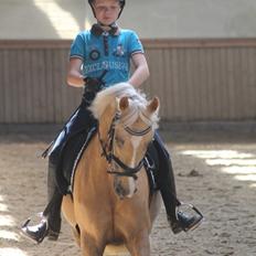 Tysk Sportspony Remember The Time S