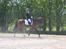 Westfaler Fleaubert von Florencio