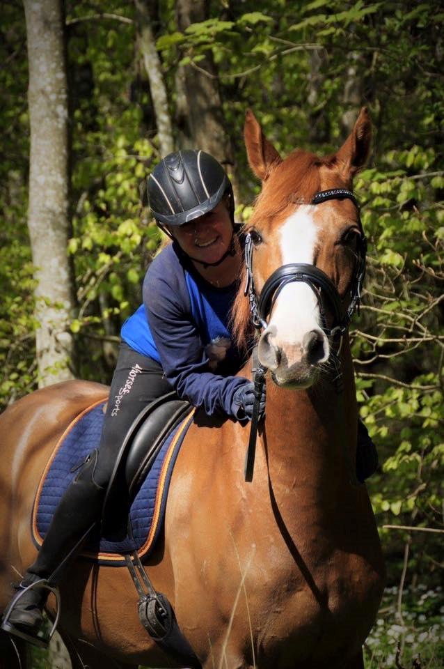 Dansk Varmblod Another Prince  Skovbo (Solgt) - <3 <3 <3 billede 18