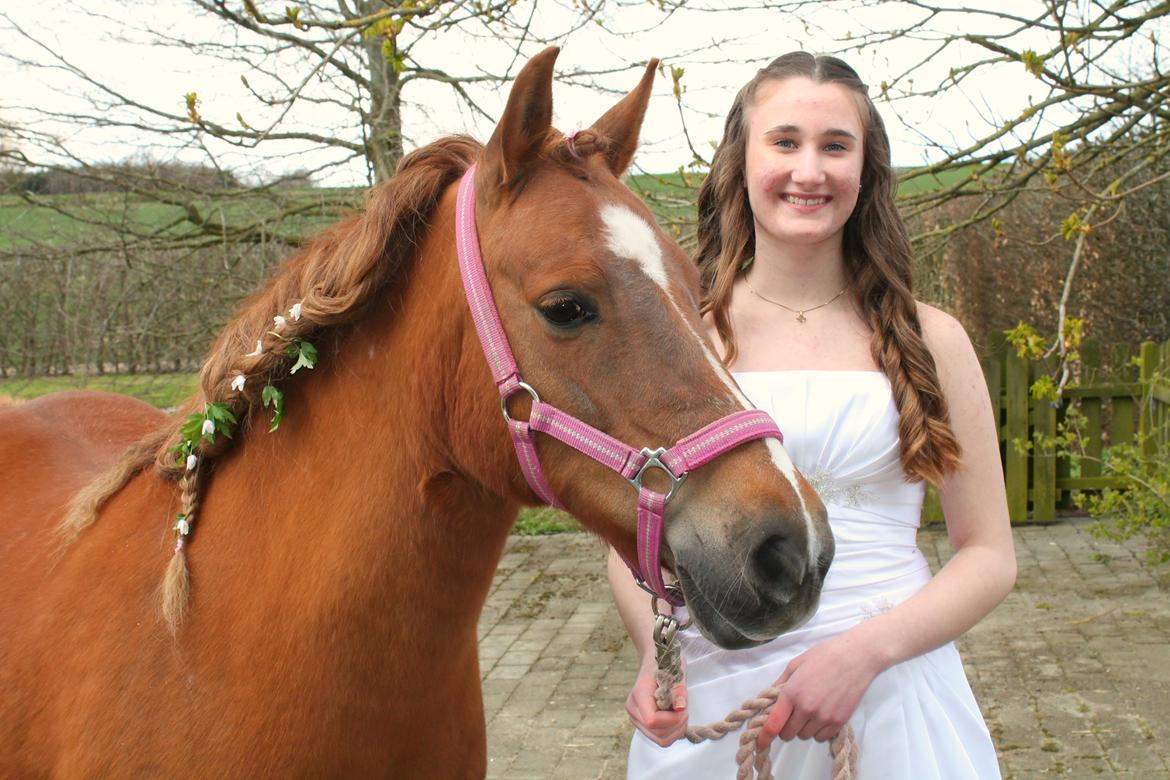 Anden særlig race Fanny - 24-04-16 billede 1