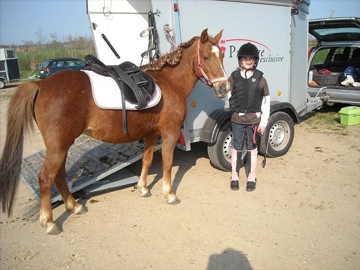 Anden særlig race Fanny - Til stævne<33 billede 6