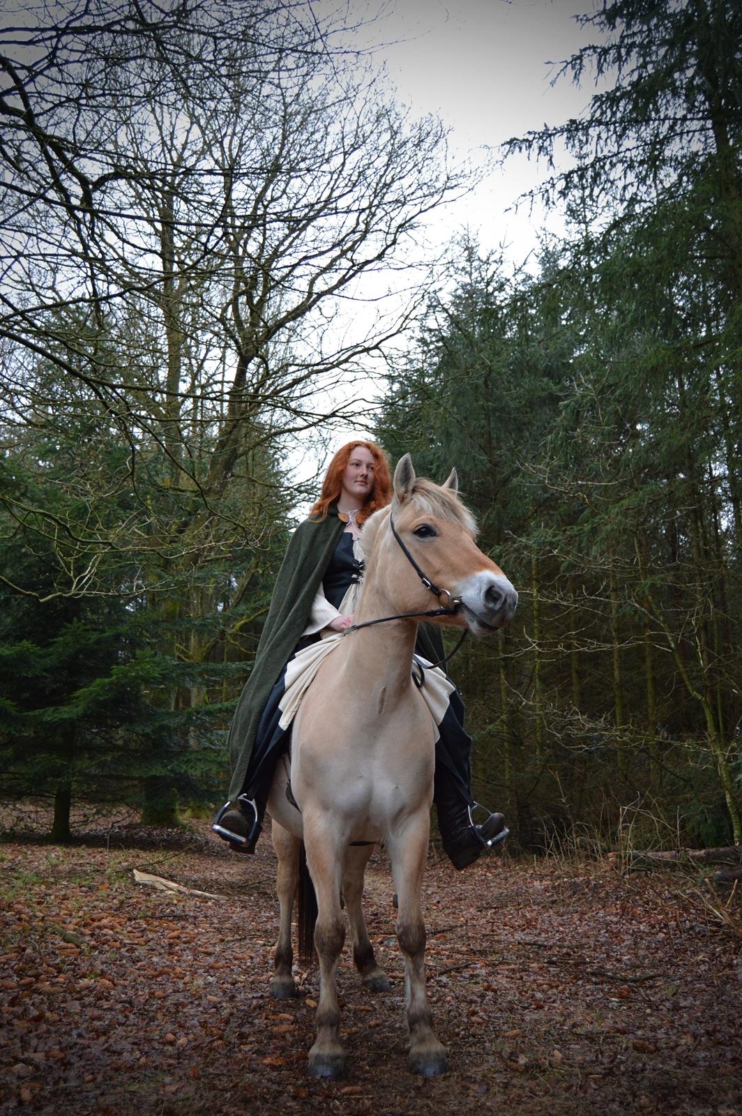 Fjordhest Langthjems Luna billede 15