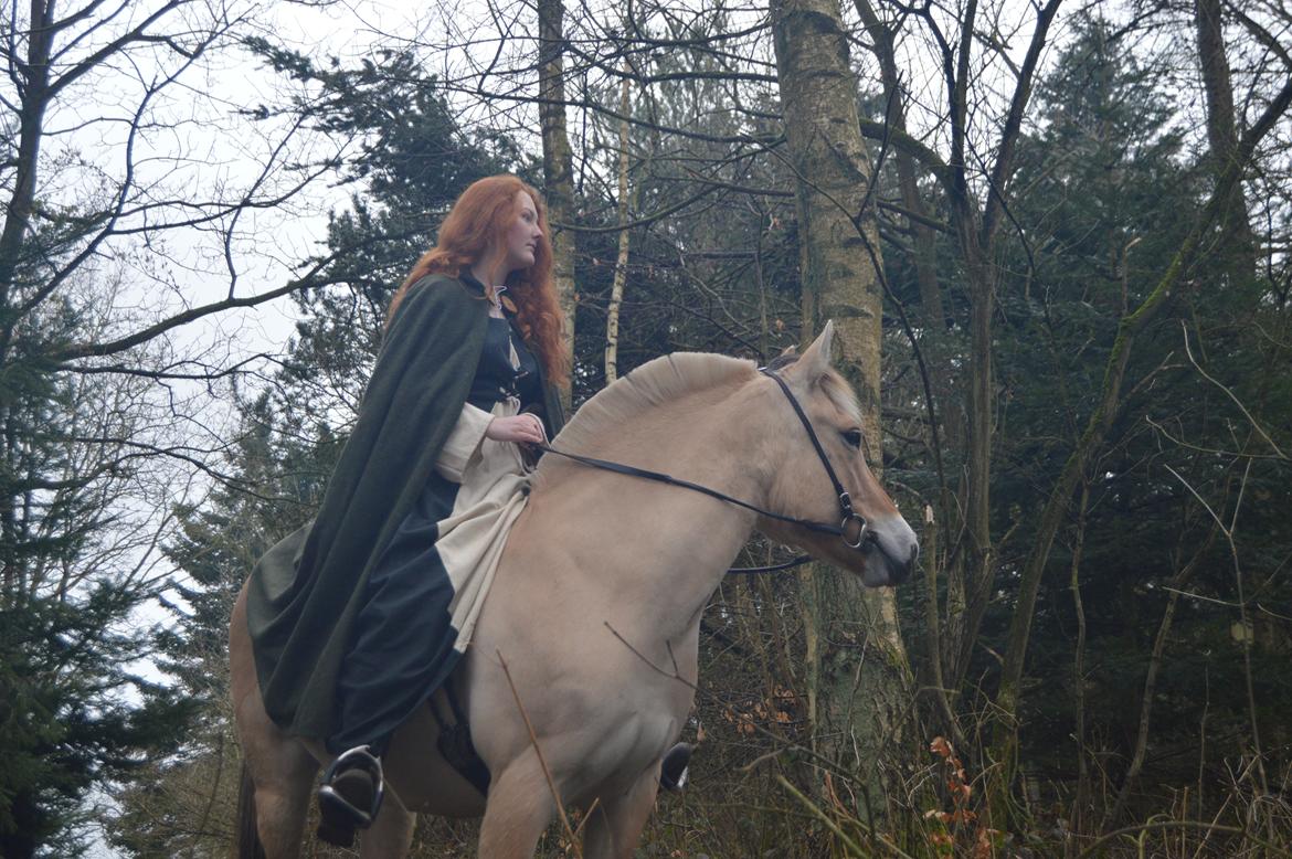 Fjordhest Langthjems Luna billede 19