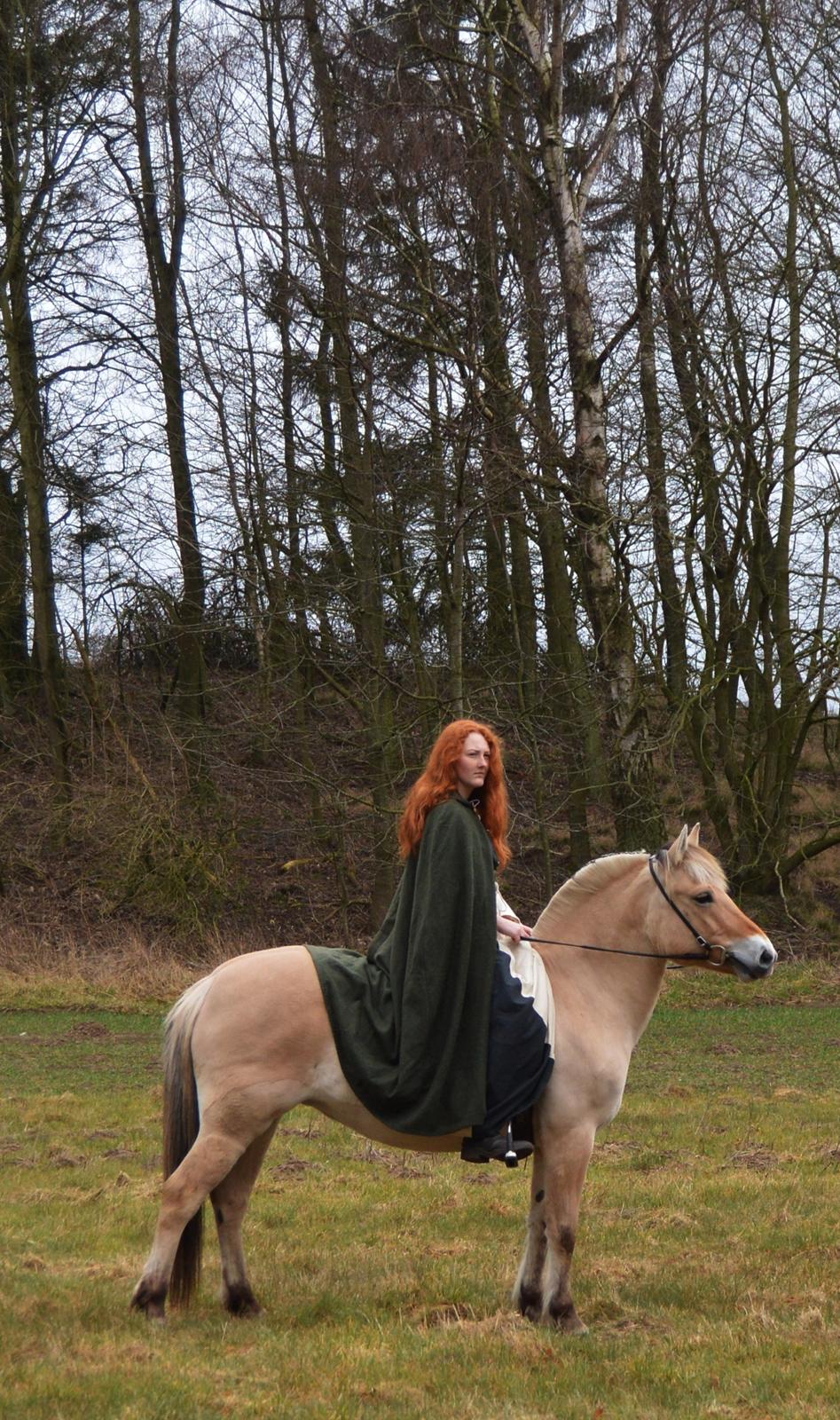 Fjordhest Langthjems Luna billede 22