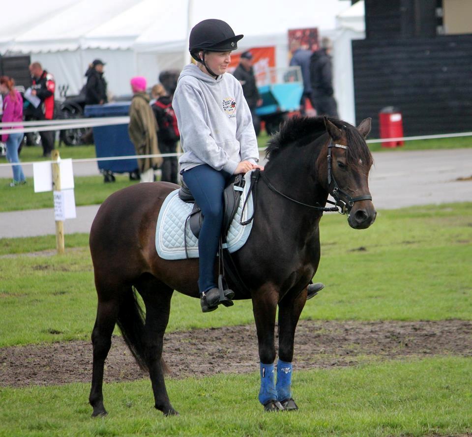 Anden særlig race Dina billede 16