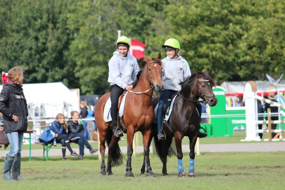 Anden særlig race Dina billede 17