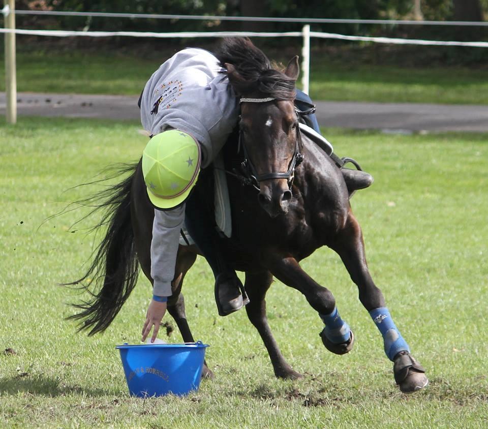 Anden særlig race Dina billede 18