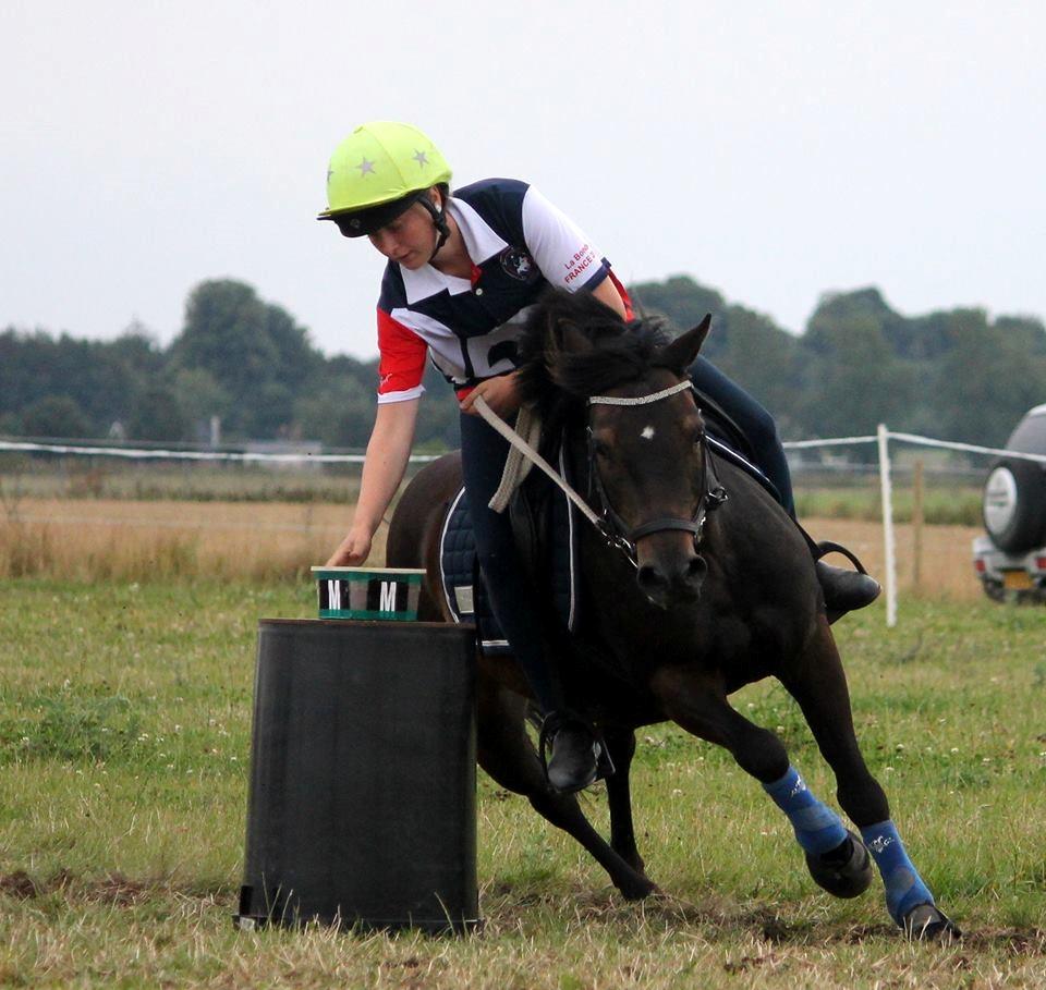 Anden særlig race Dina billede 19