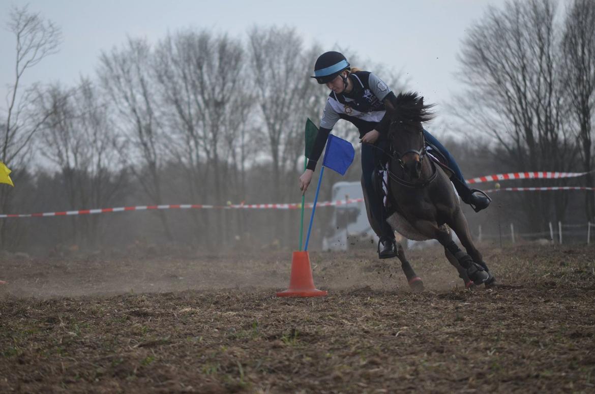 Anden særlig race Dina billede 21