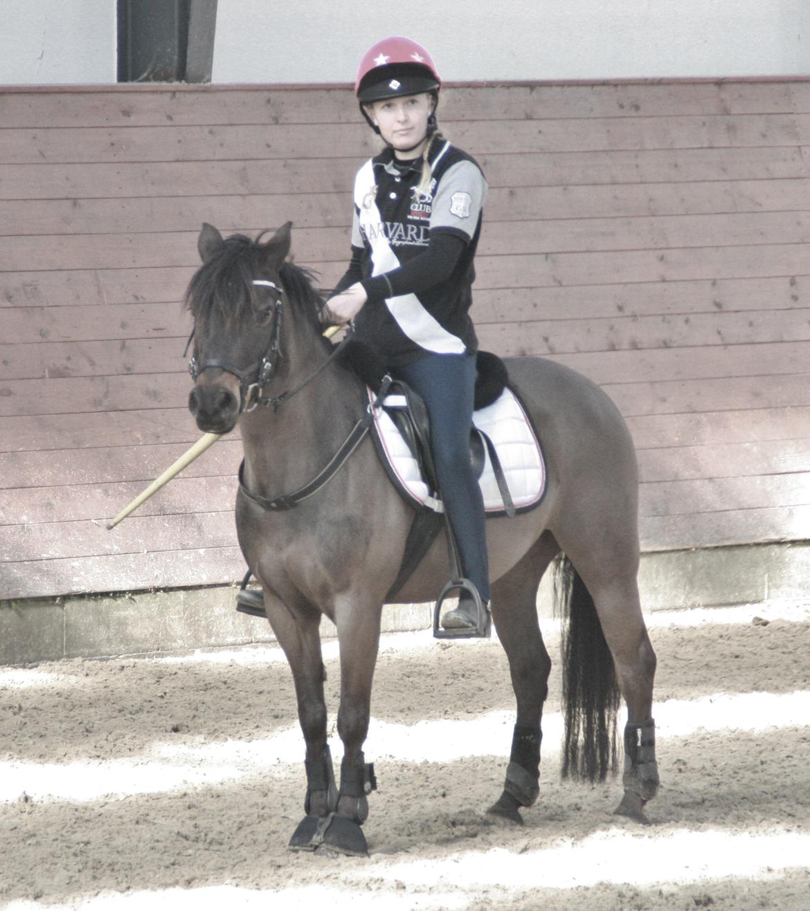 Anden særlig race Dina billede 25