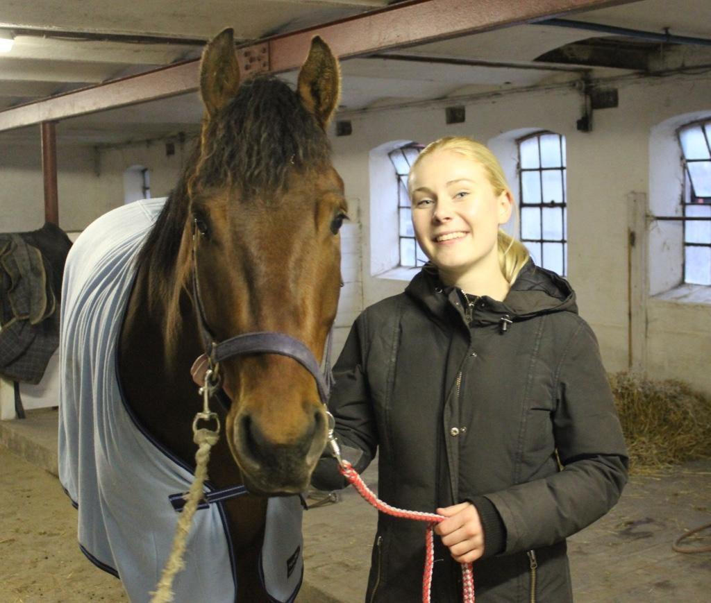 Quarter One Hot Destination - Her er kontrakten lige blevet underskrevet og jeg er verdens gladeste pige :-) billede 9