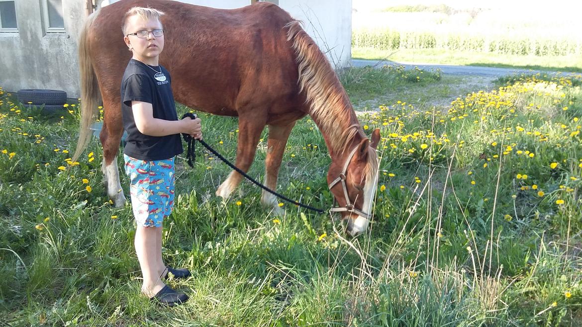 Anden særlig race balou billede 2