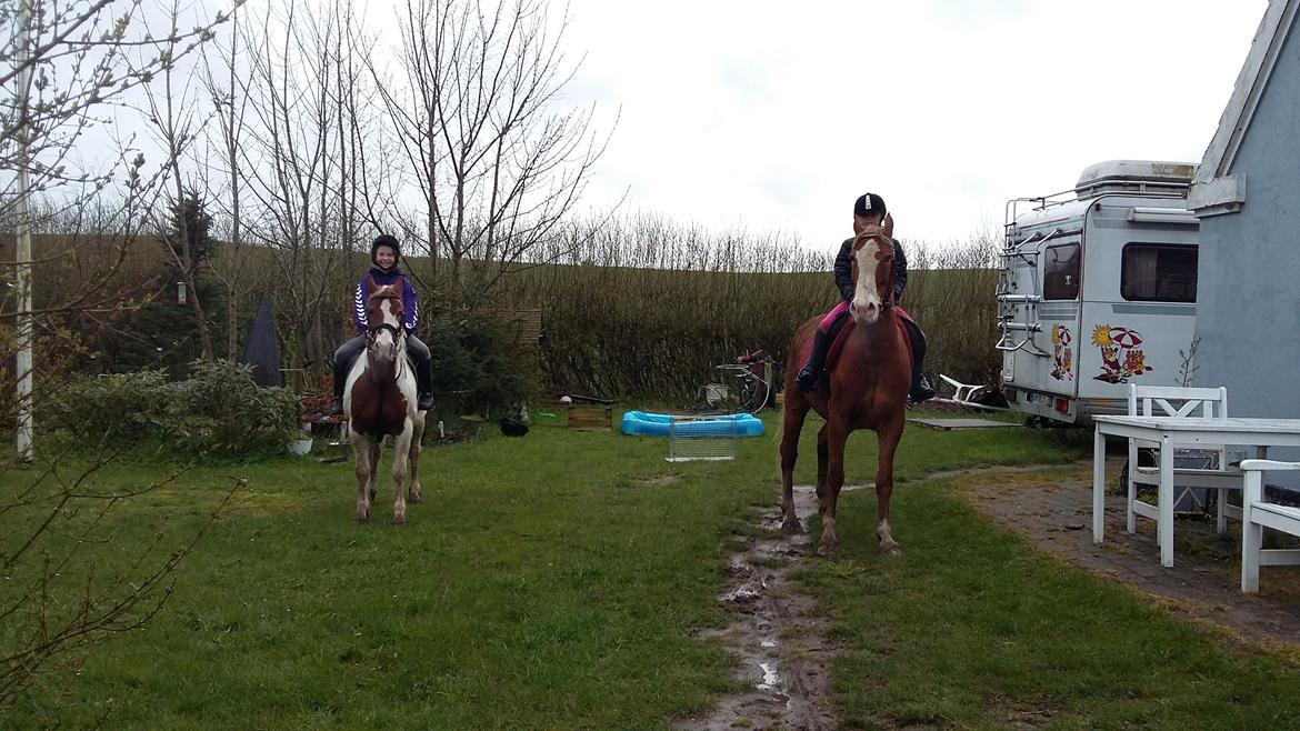 Anden særlig race balou billede 5