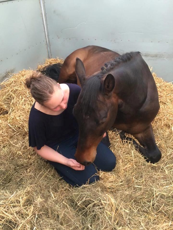 Trakehner Kattavango billede 18