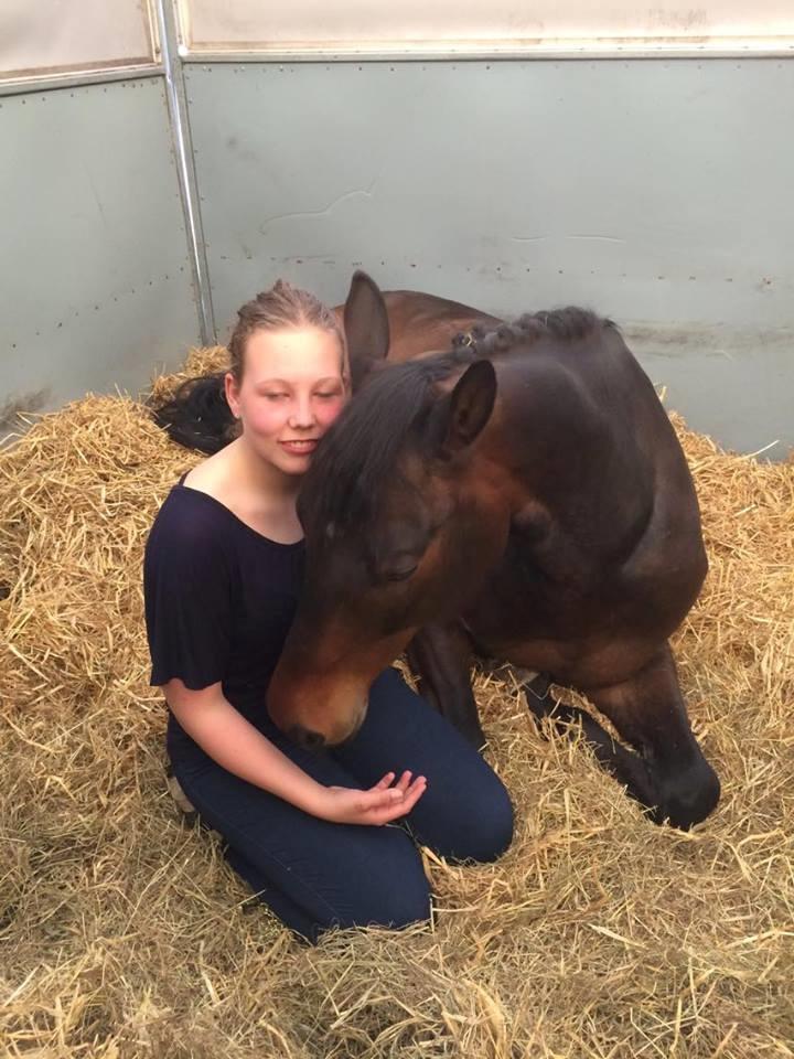 Trakehner Kattavango billede 15