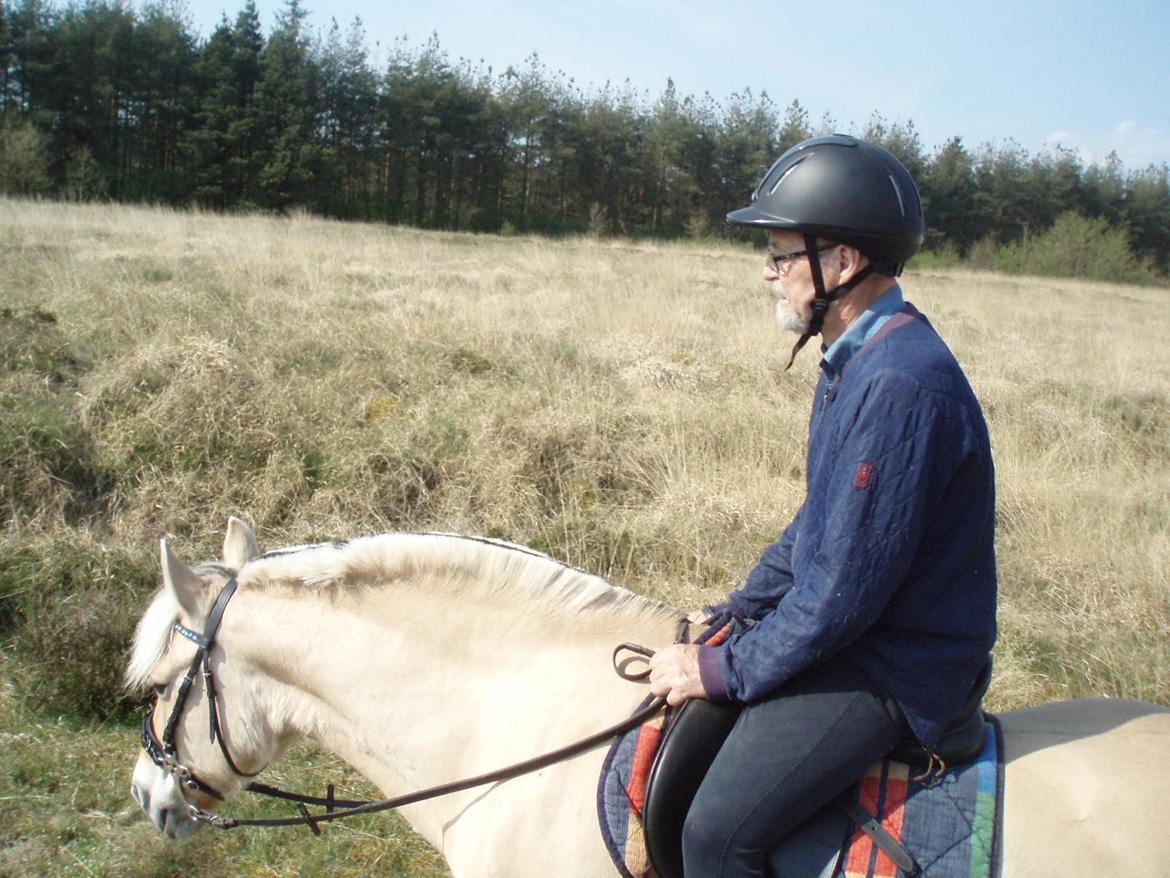 Fjordhest Vrå nikita - Glade Harry og glade NIKITA billede 18