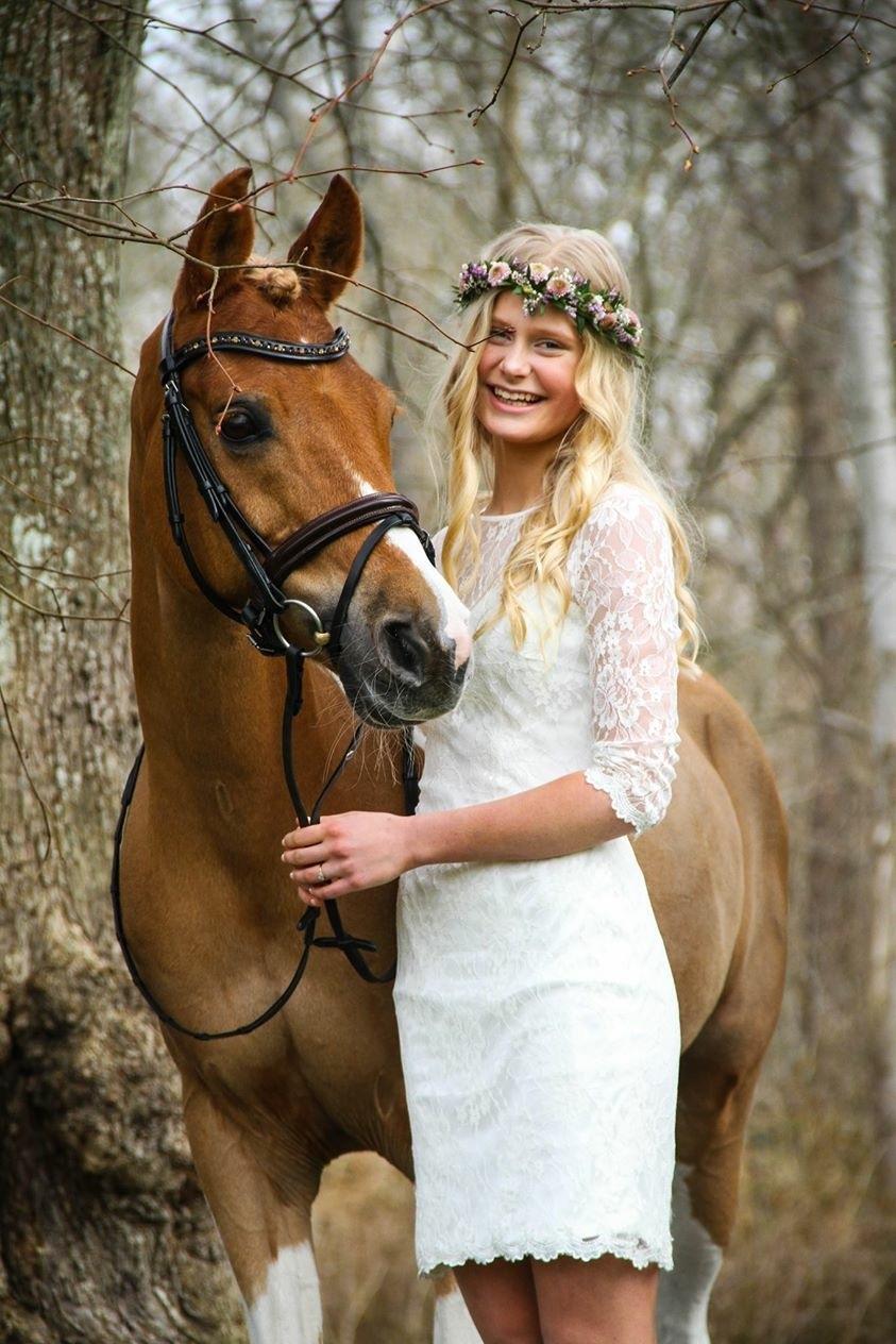 Pinto Araber Felix B-pony og 1/3 A-pony billede 11