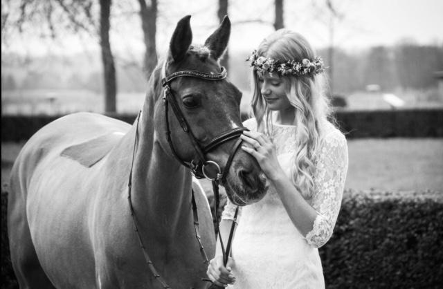 Pinto Araber Felix B-pony og 1/3 A-pony billede 12