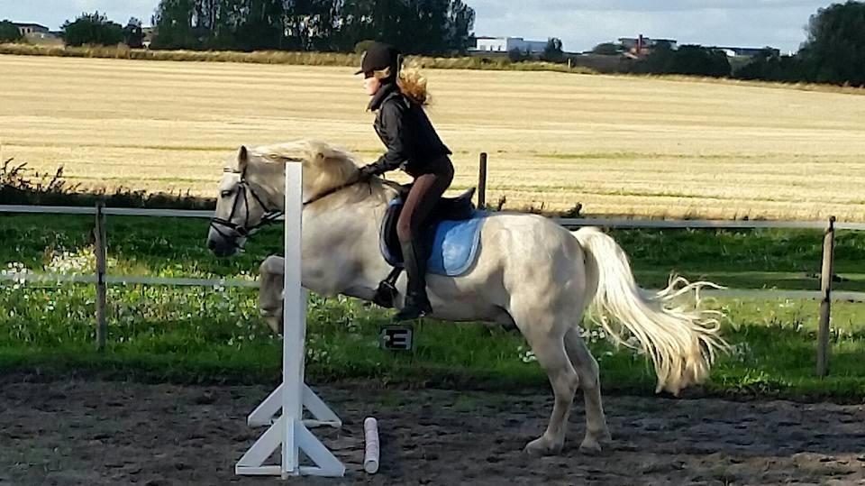 Anden særlig race Super star billede 5