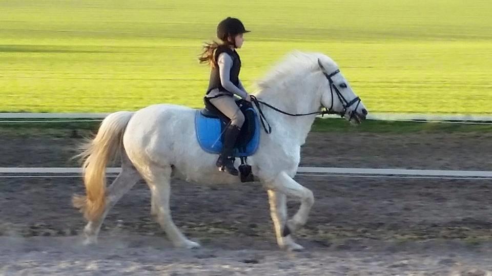 Anden særlig race Super star billede 11