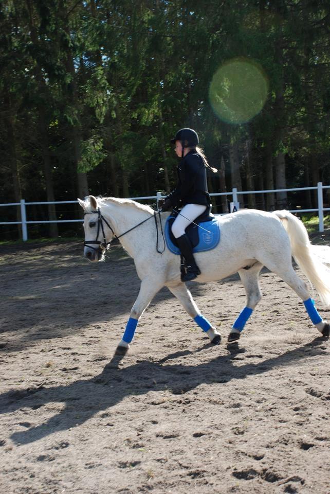 Anden særlig race Super star billede 13