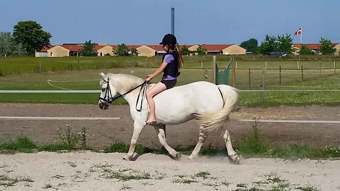 Anden særlig race Super star billede 14