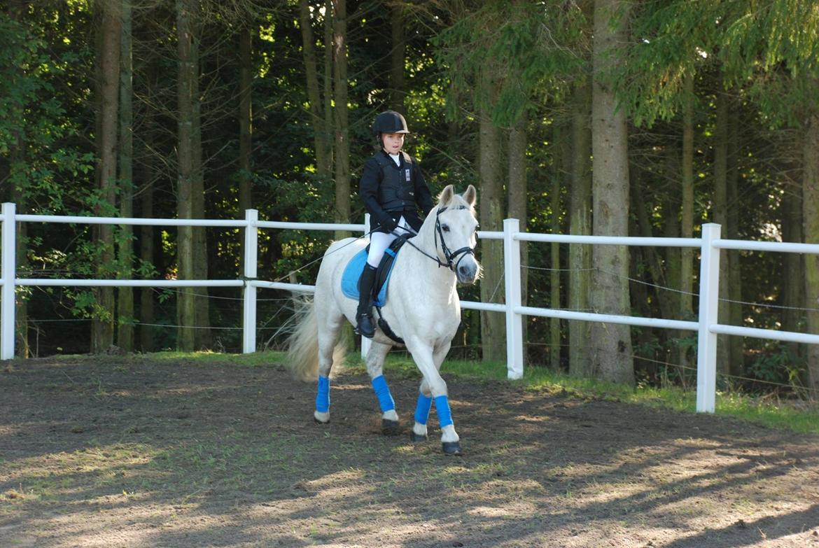 Anden særlig race Super star billede 15