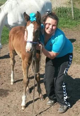 Dansk Varmblod La-Señorita Blanca  billede 15