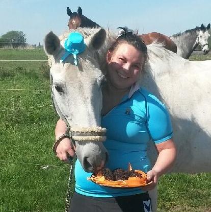 Dansk Varmblod La-troya billede 2