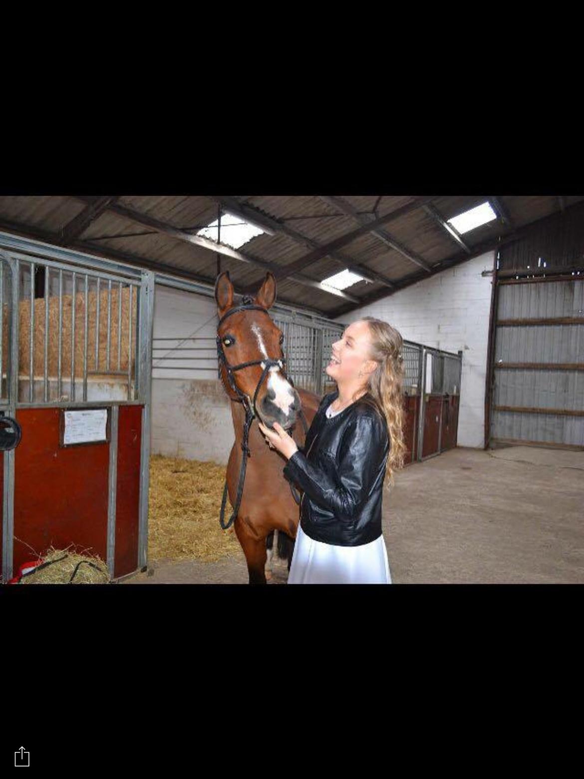 Anden særlig race Pepsi - Konfirmation 3/4-2016💘 billede 9