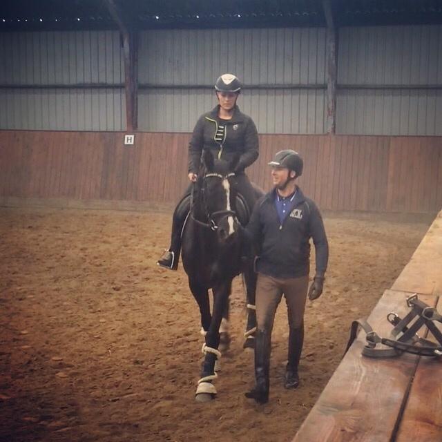 Trakehner Belle noir billede 15