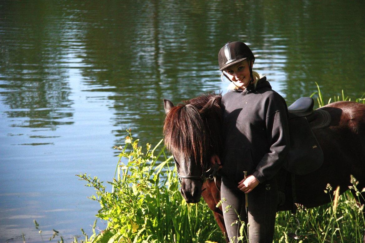 Islænder Pertla billede 12