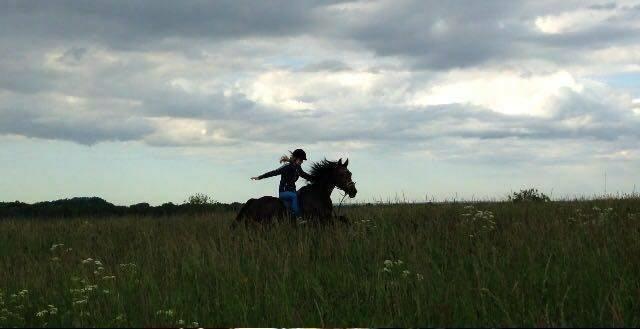 Anden særlig race Cypresgårdens Celina billede 2