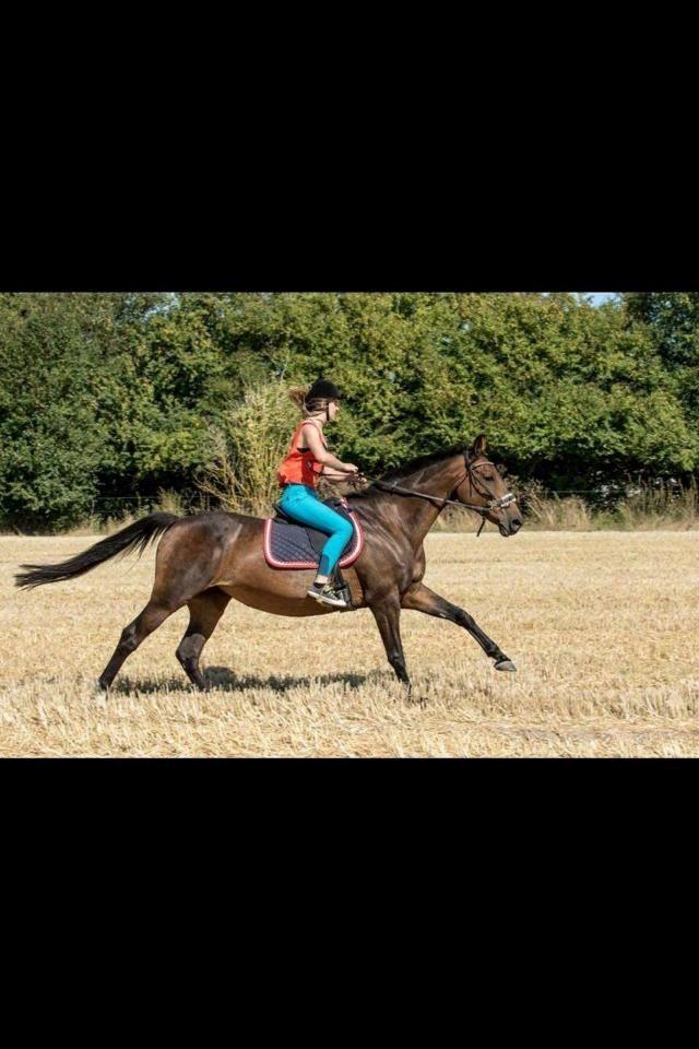 Anden særlig race Cypresgårdens Celina billede 6