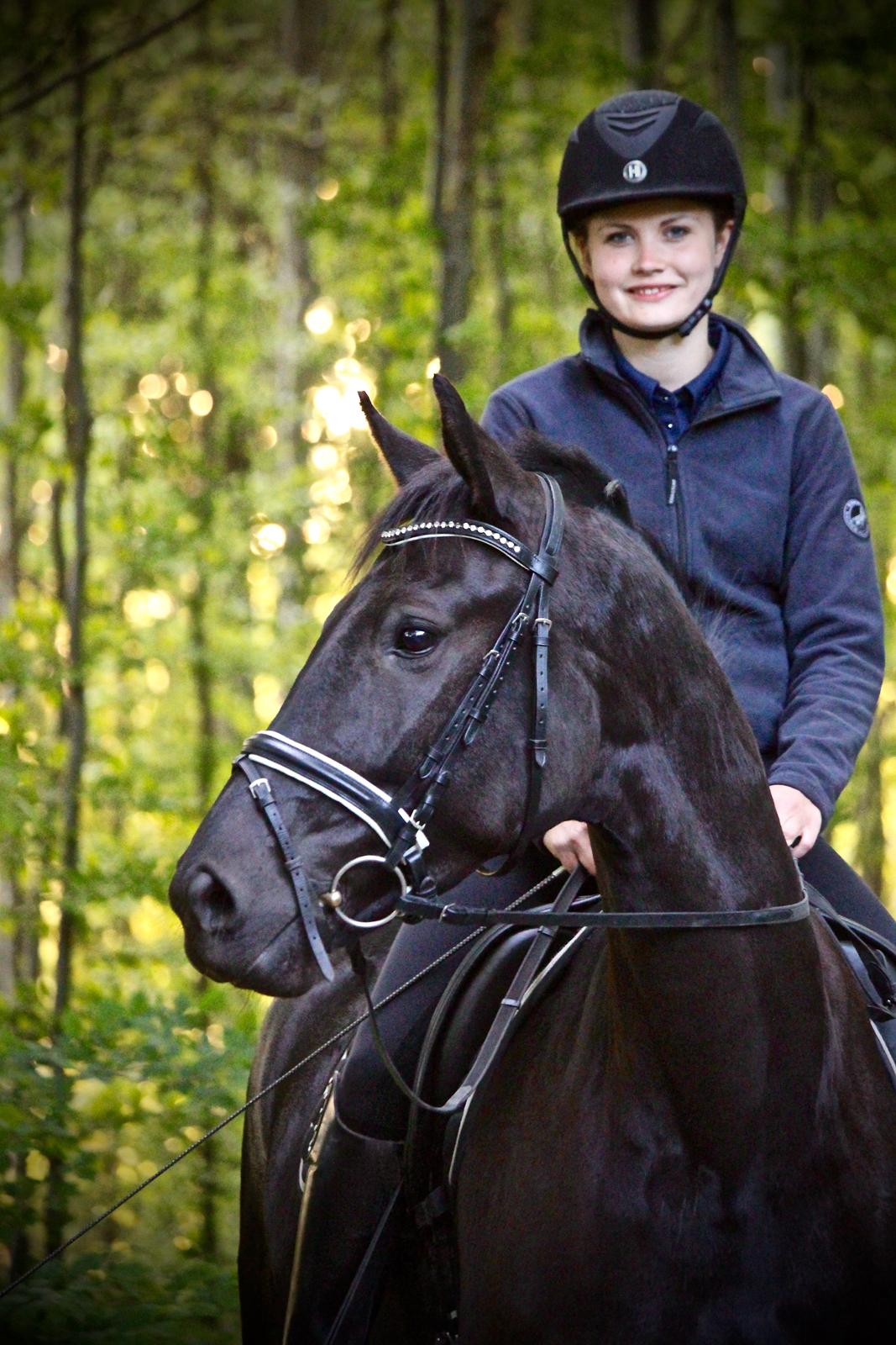 Dansk Varmblod Stald Højgårds Libella billede 2