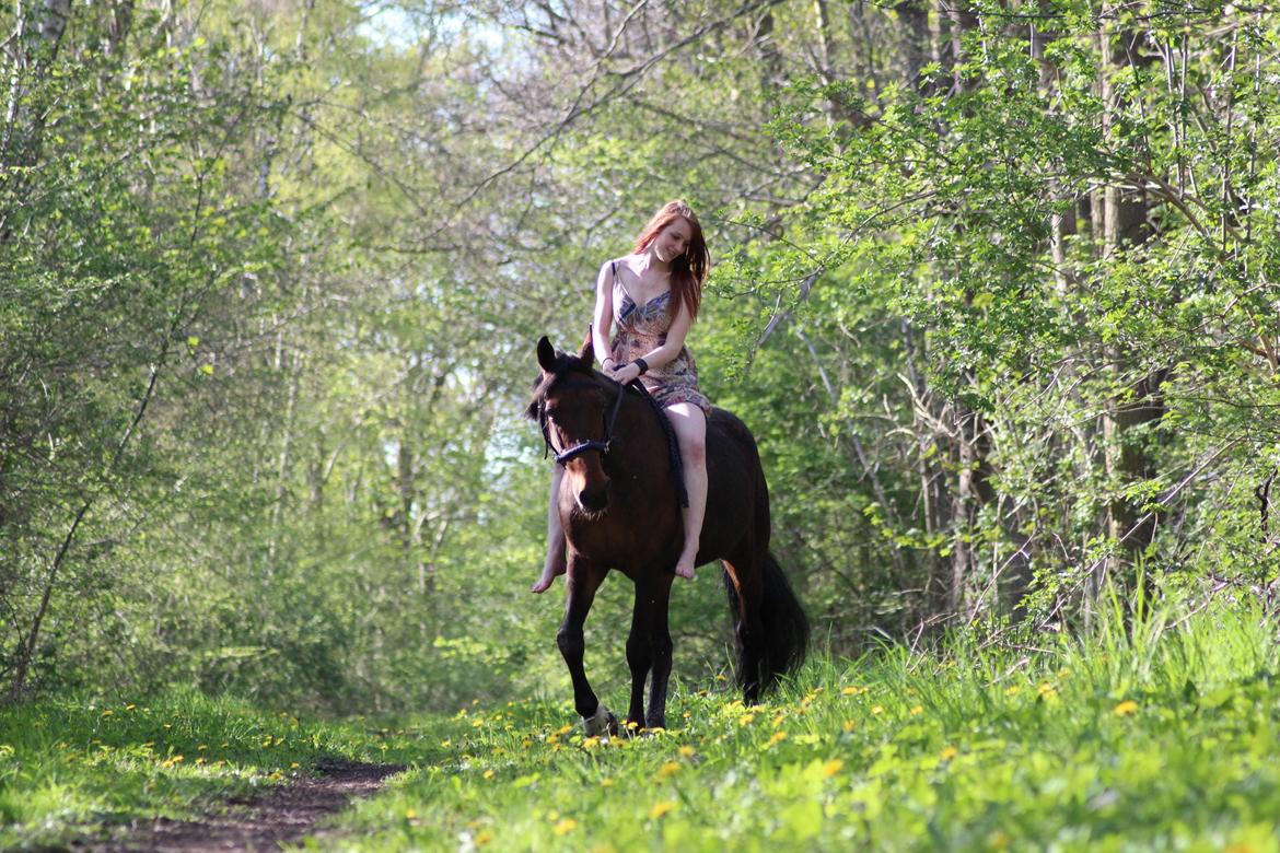 Traver Borlis Alf - Borlis og jeg maj 2016. billede 3