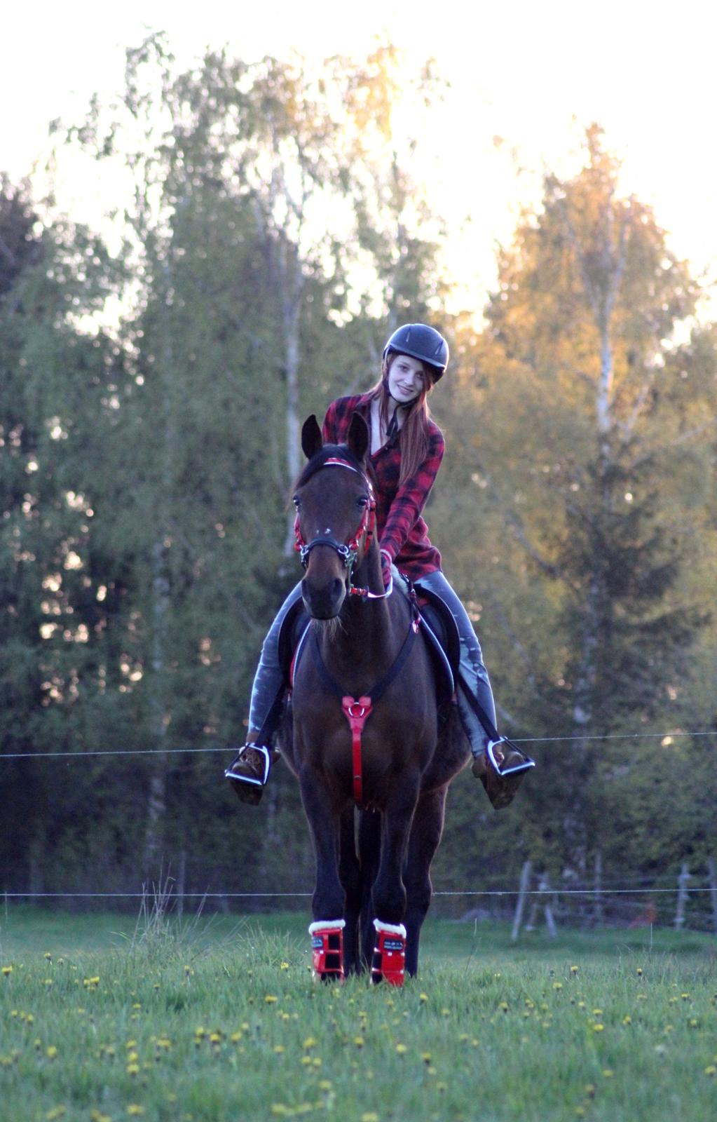 Traver Borlis Alf billede 17