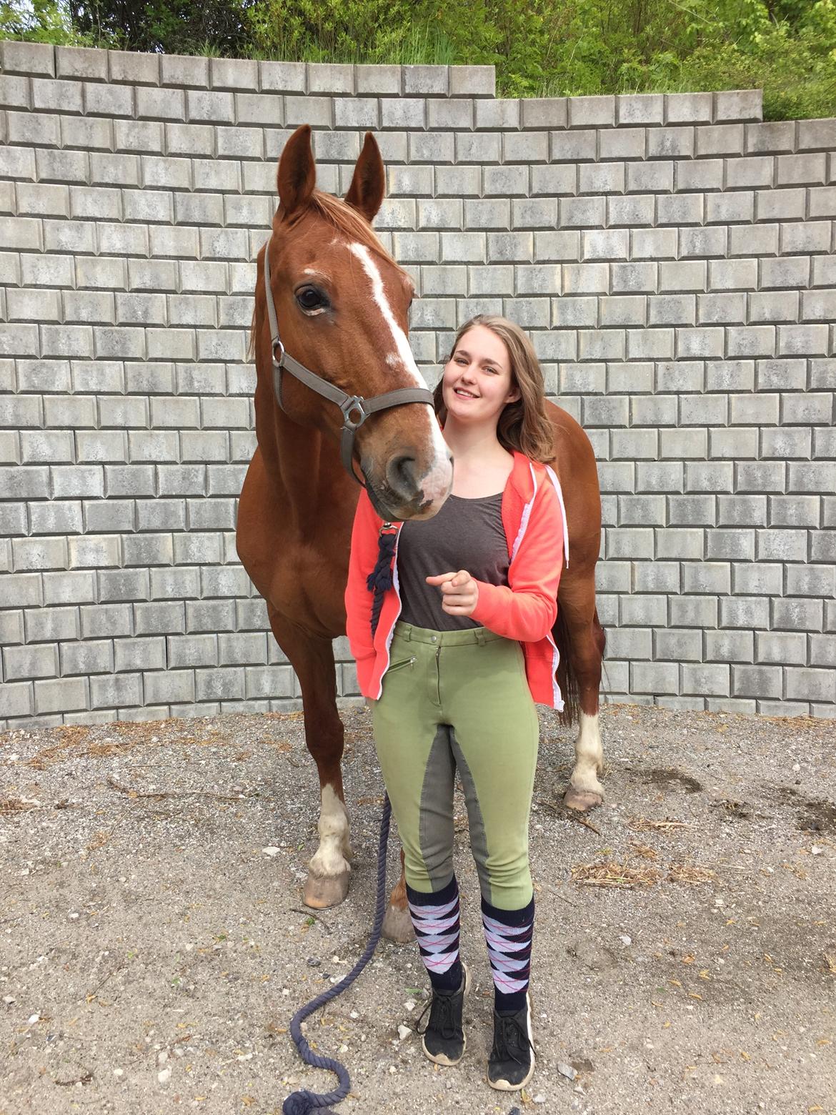 Frederiksborg Mercur Lindegård - 16-05-2016 billede 6