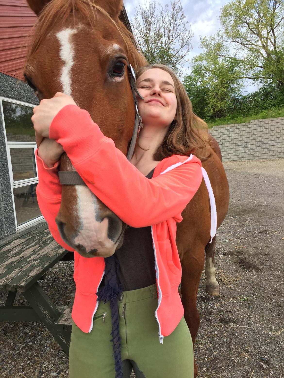 Frederiksborg Mercur Lindegård - 16-05-2016 billede 12