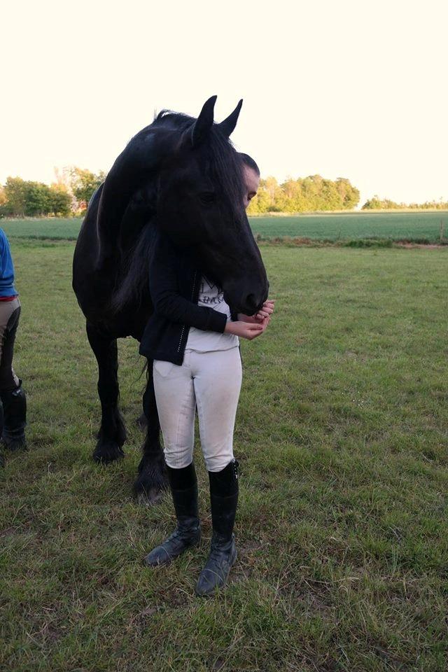 Frieser Rex (Part) billede 13