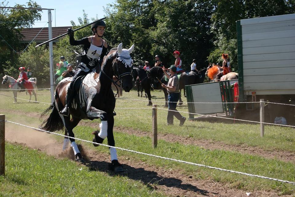 Frieser Rex (Part) - Ringridning i Løsning 2015 billede 6